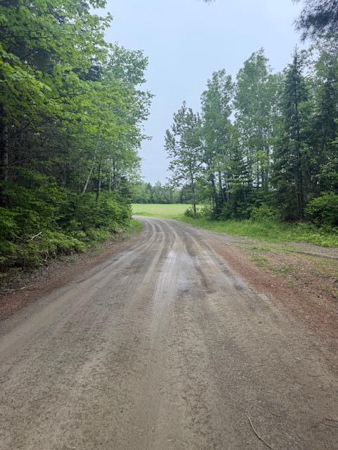 Lot #3 Pleine Road Property Photo 15