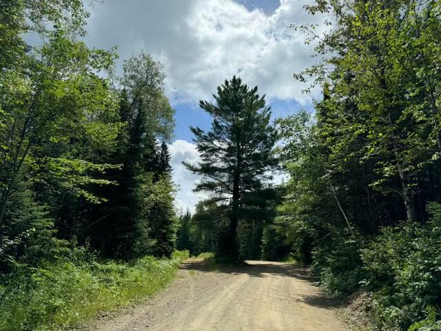 Lot #3 Pleine Road Property Photo 16