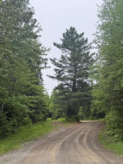 Lot #3 Pleine Road Property Photo 18