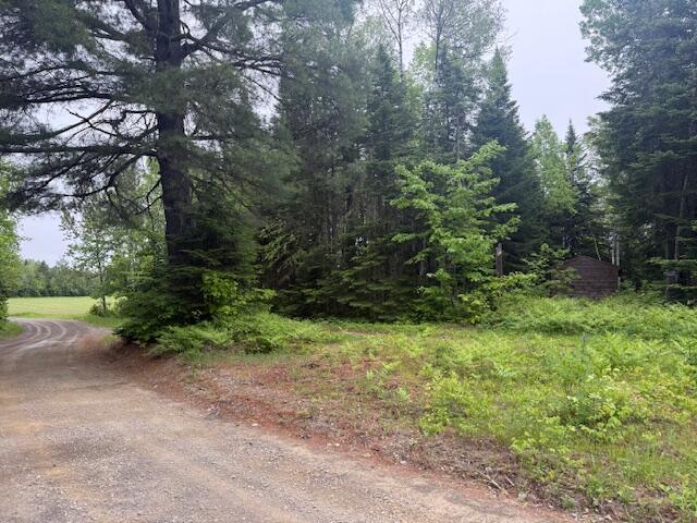 Lot #3 Pleine Road Property Photo 19