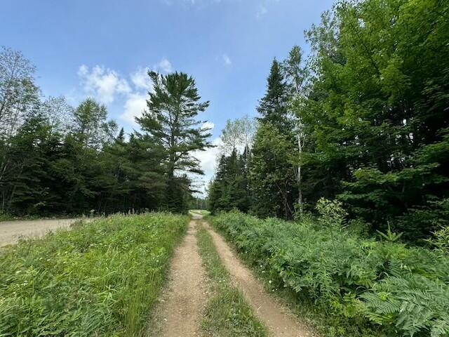 Lot #3 Pleine Road Property Photo 20
