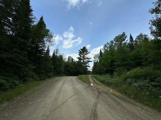 Lot #3 Pleine Road Property Photo 21