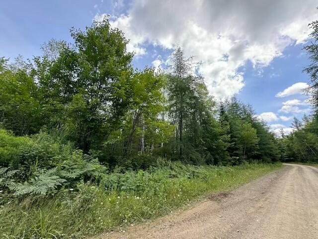 Lot #3 Pleine Road Property Photo 22