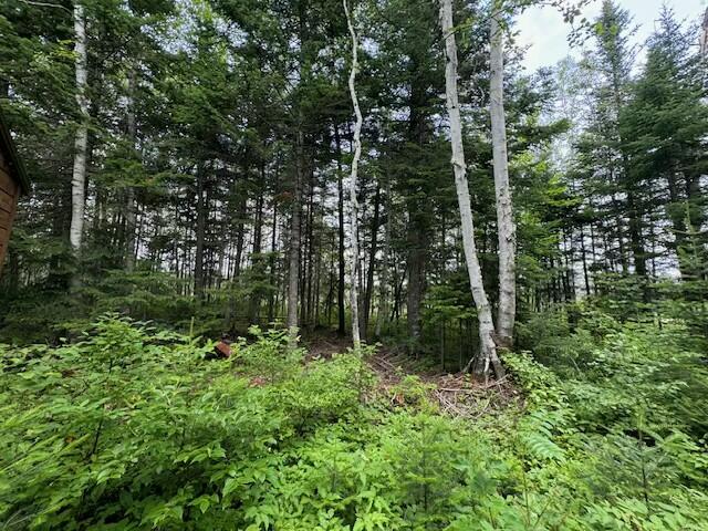 Lot #3 Pleine Road Property Photo 23