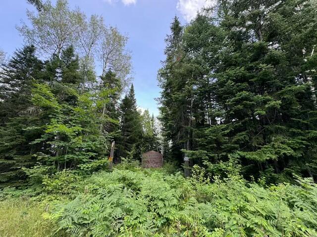 Lot #3 Pleine Road Property Photo 24