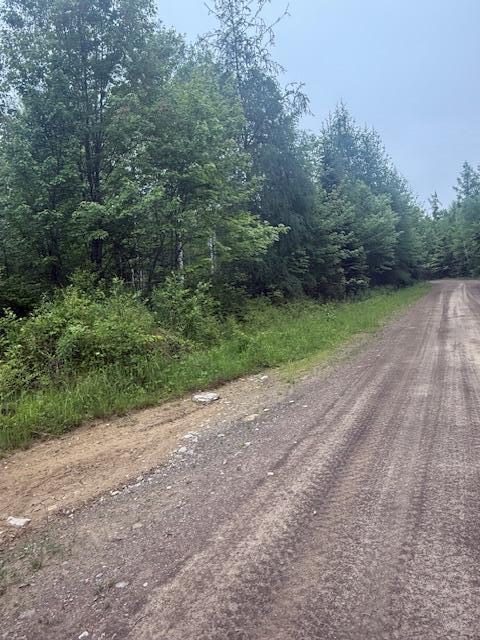 Lot #3 Pleine Road Property Photo 25