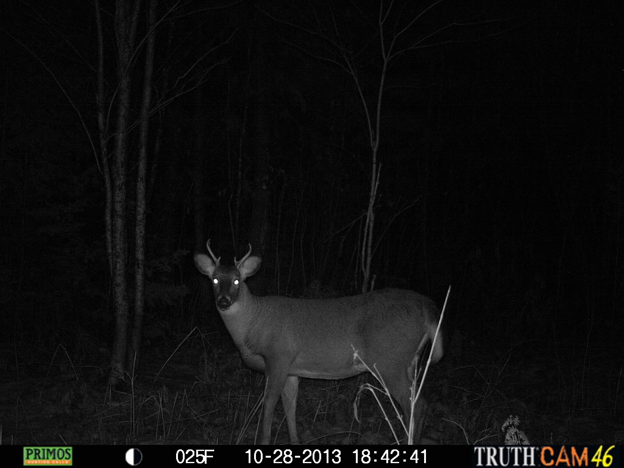 Lot #3 Pleine Road Property Photo 27
