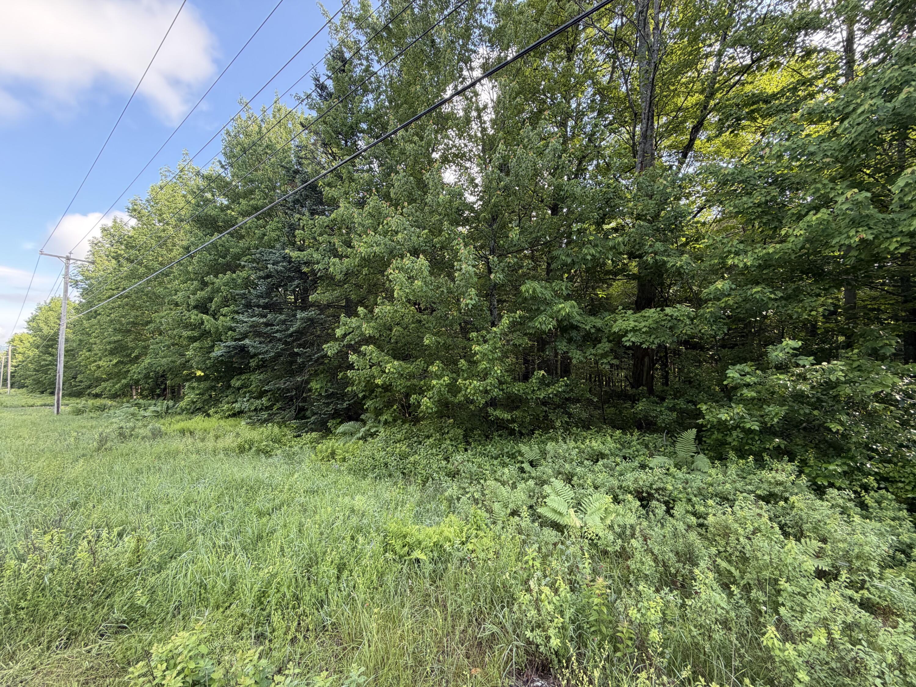 47 Greenville Road Lot 1 Property Photo 4