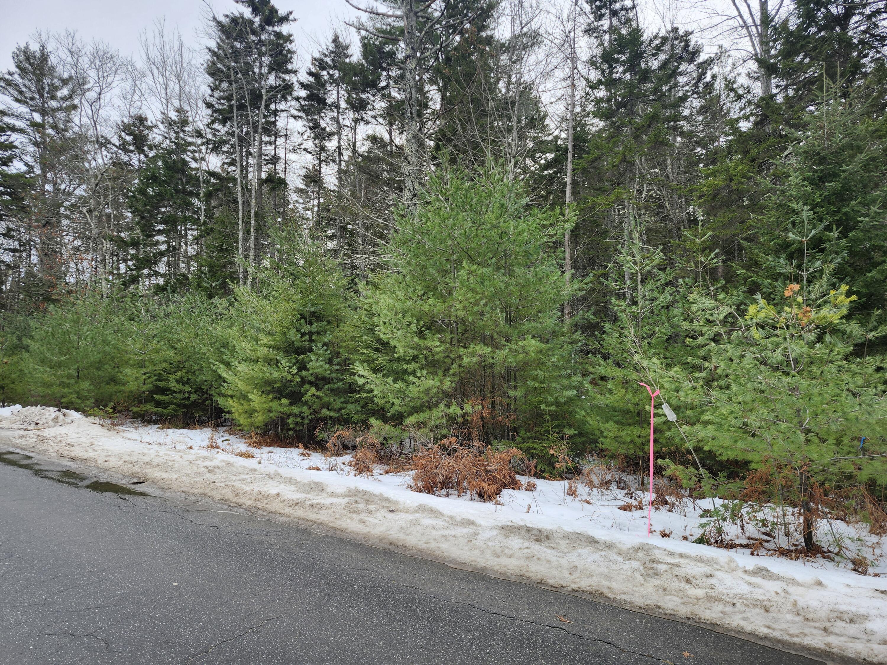 61 N End Road Property Photo 1