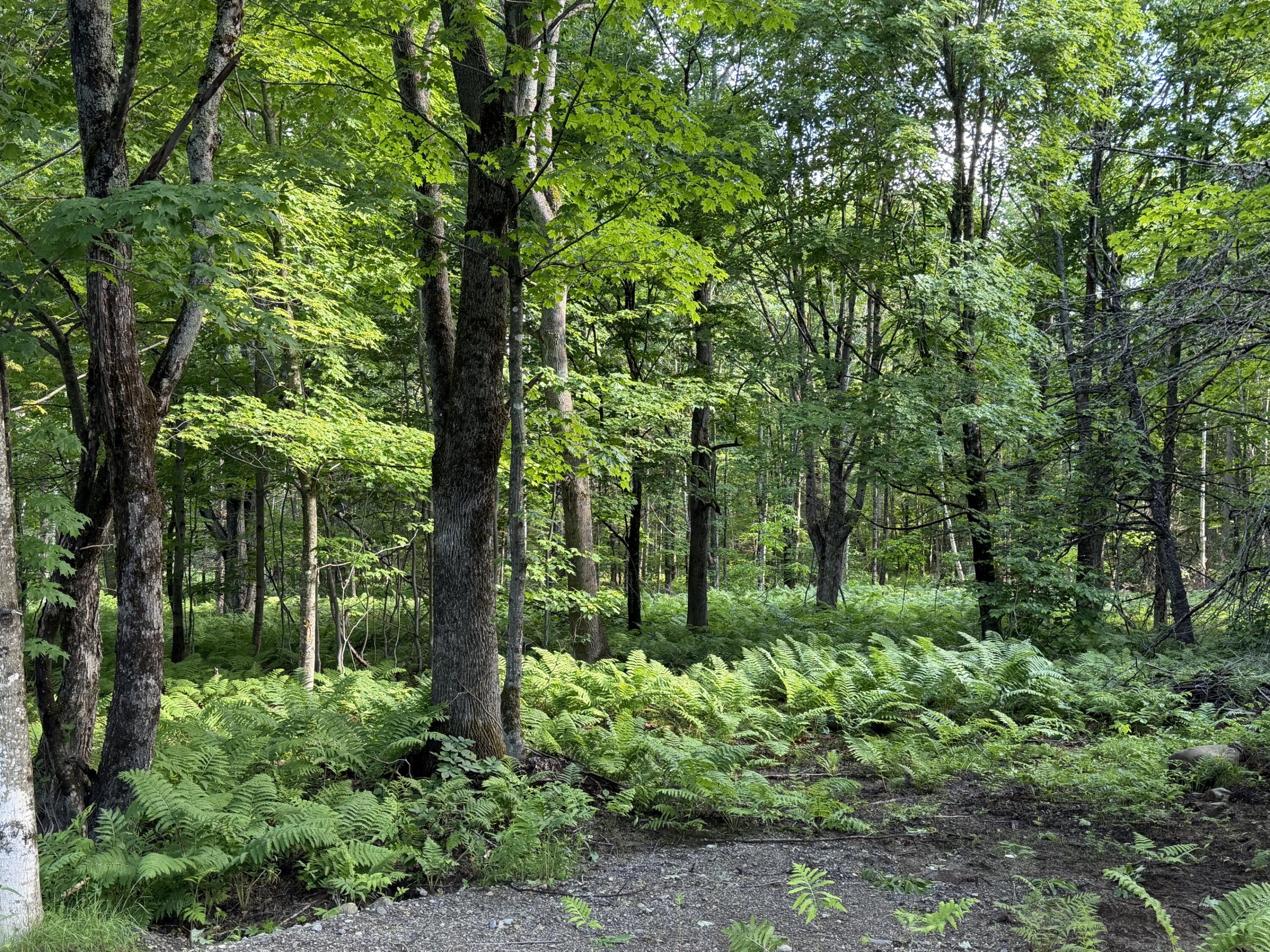 47 Greenville Road Lot 3 Property Photo 1