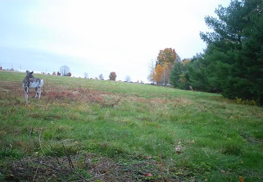 16a Pooler Road Property Photo 4