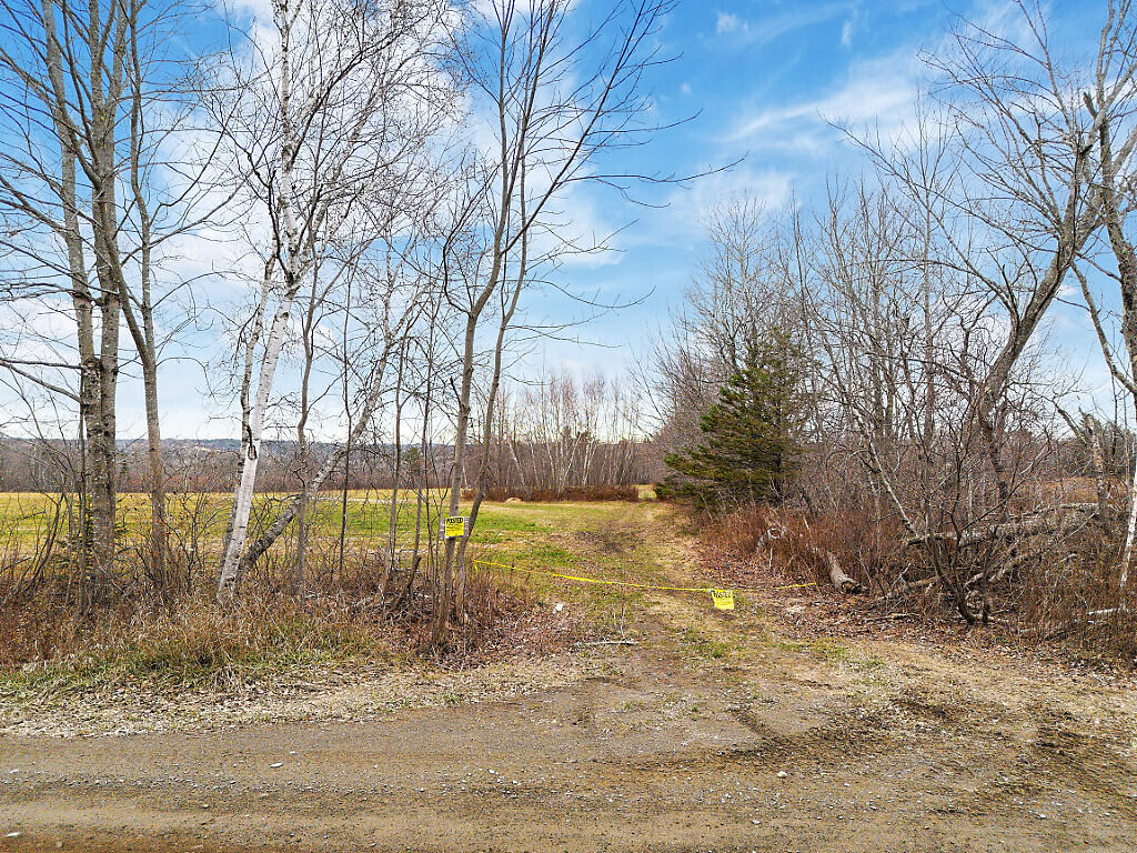 Lot 24 Off Arnold Lane Palermo Lane Property Photo 2
