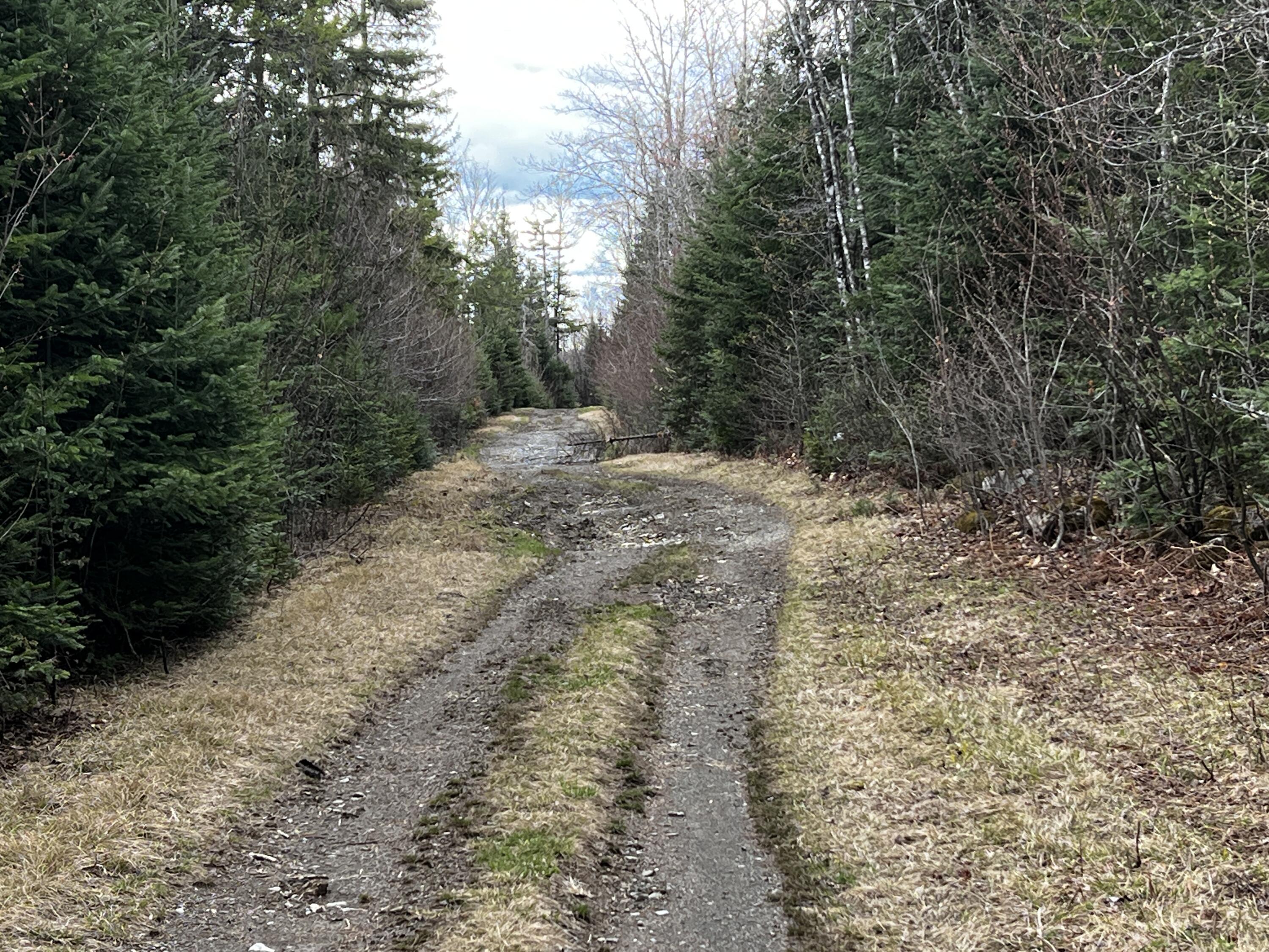 Lot 2-18 Shin Pond Road Property Photo 4