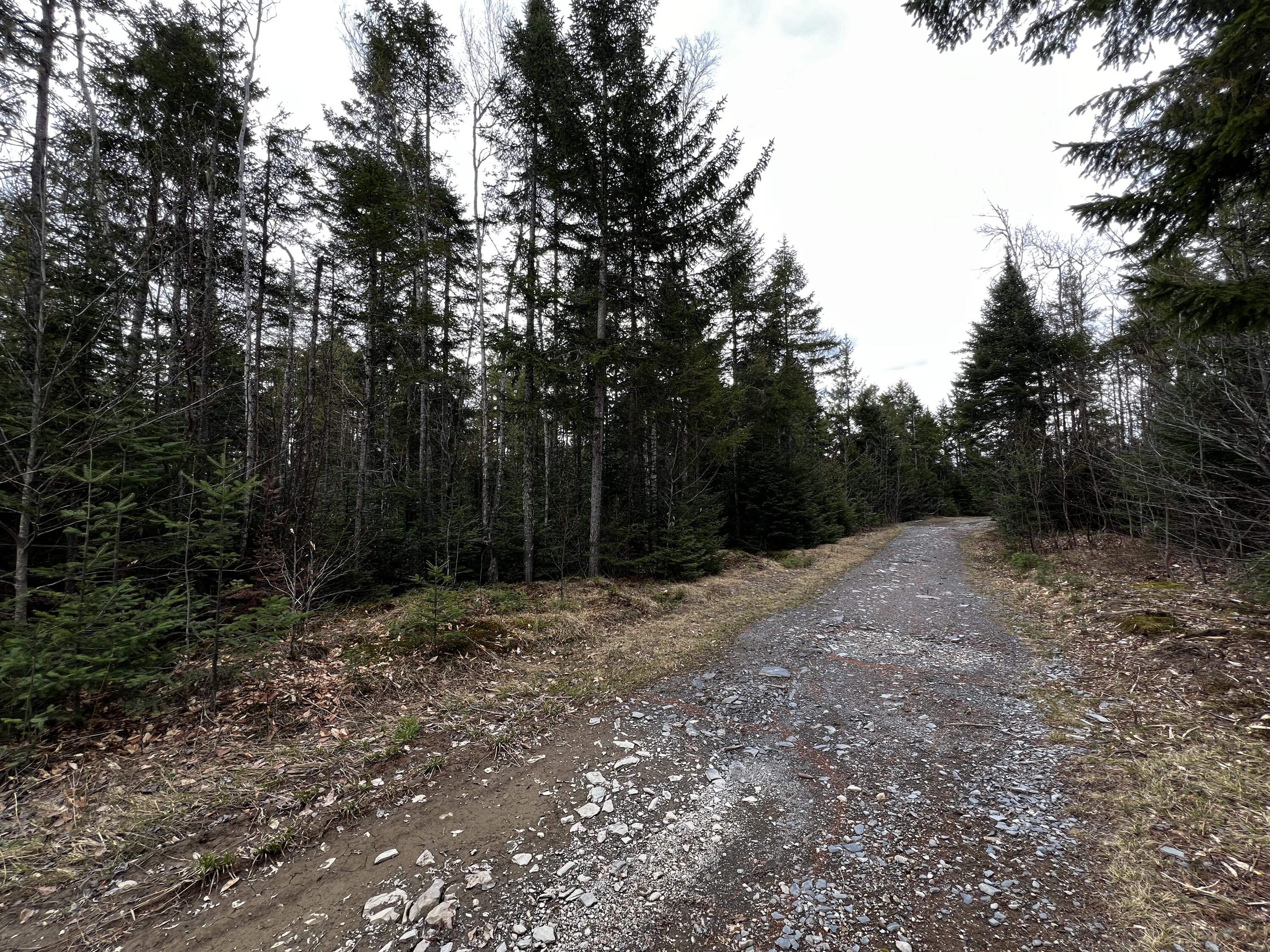 Lot 2-18 Shin Pond Road Property Photo 9