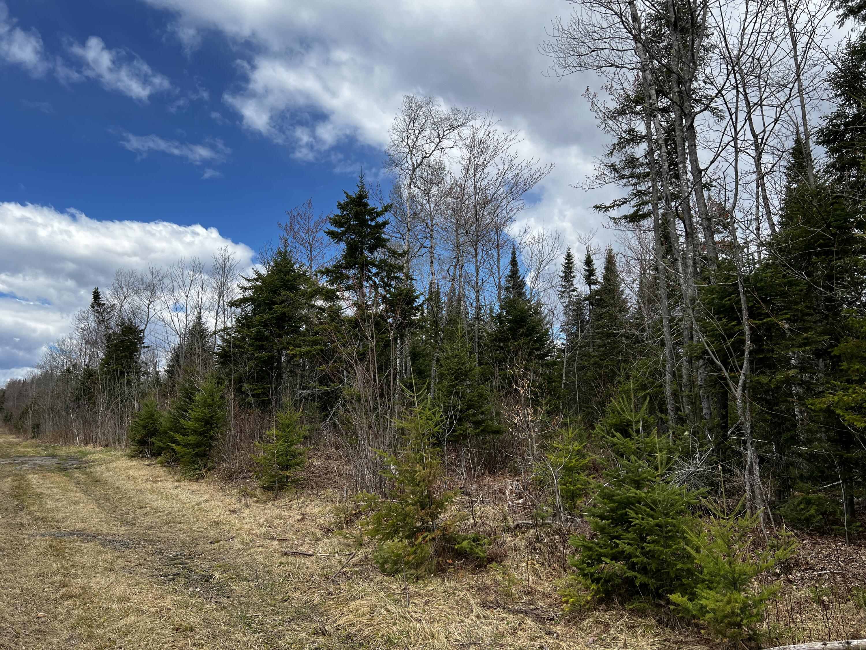 Lot 2-18 Shin Pond Road Property Photo 11