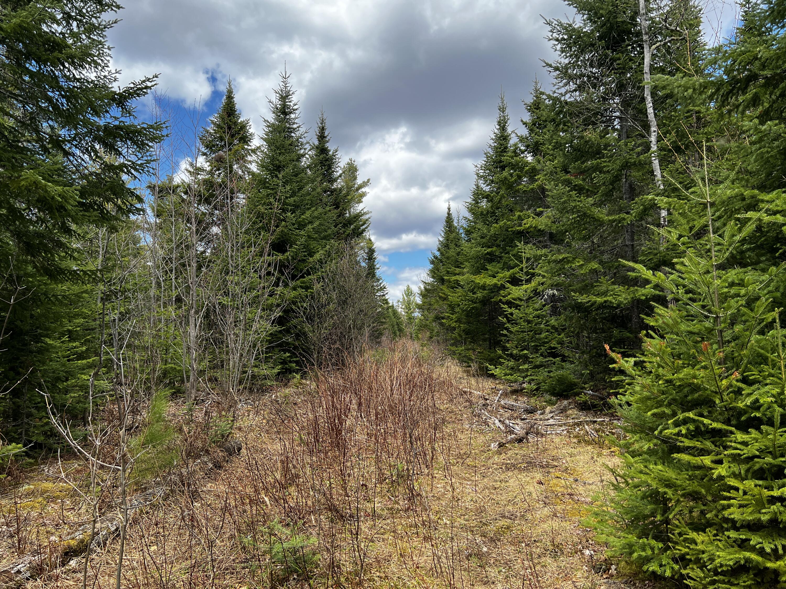 Lot 2-18 Shin Pond Road Property Photo 13