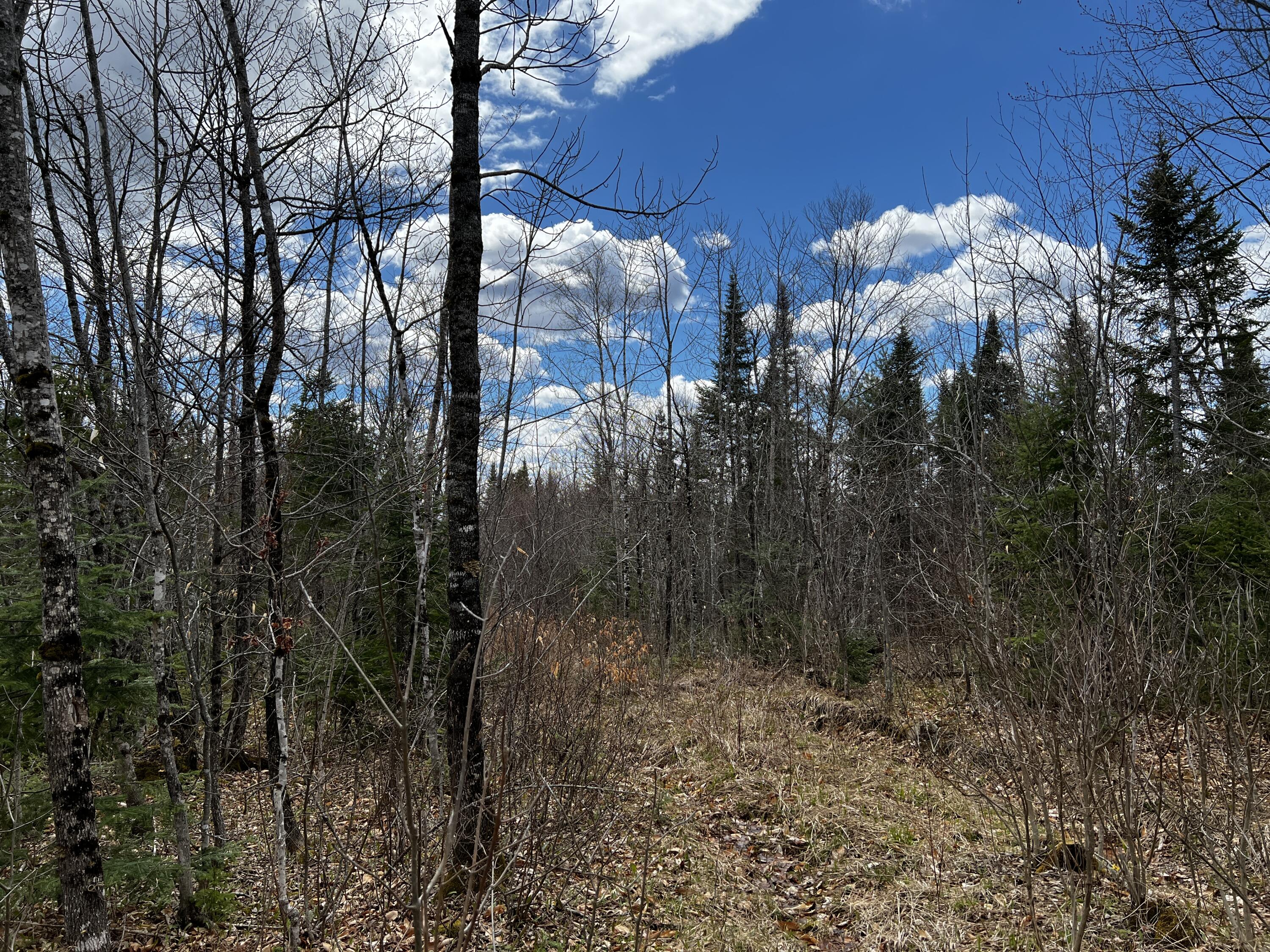 Lot 2-18 Shin Pond Road Property Photo 18