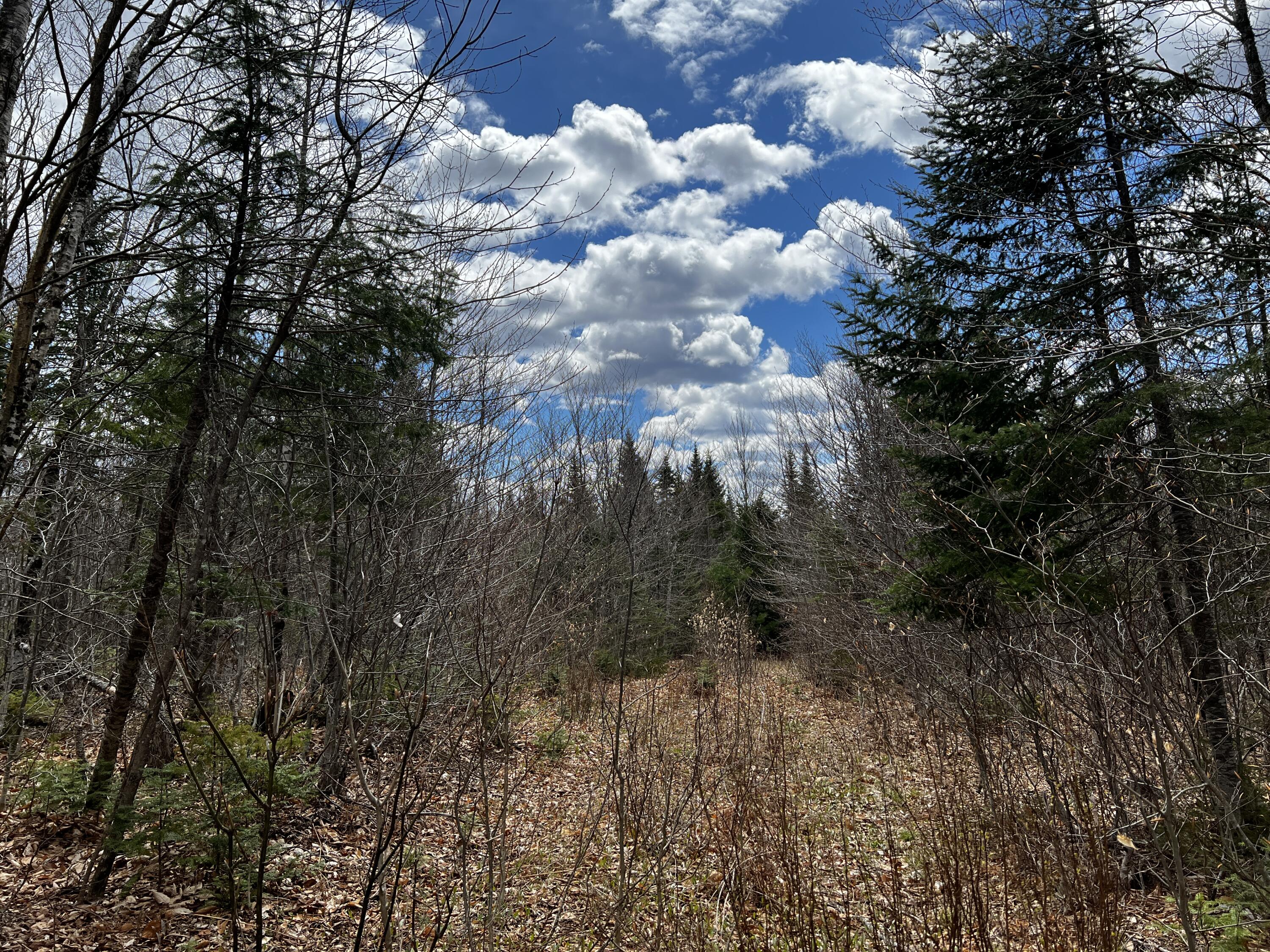 Lot 2-18 Shin Pond Road Property Photo 19