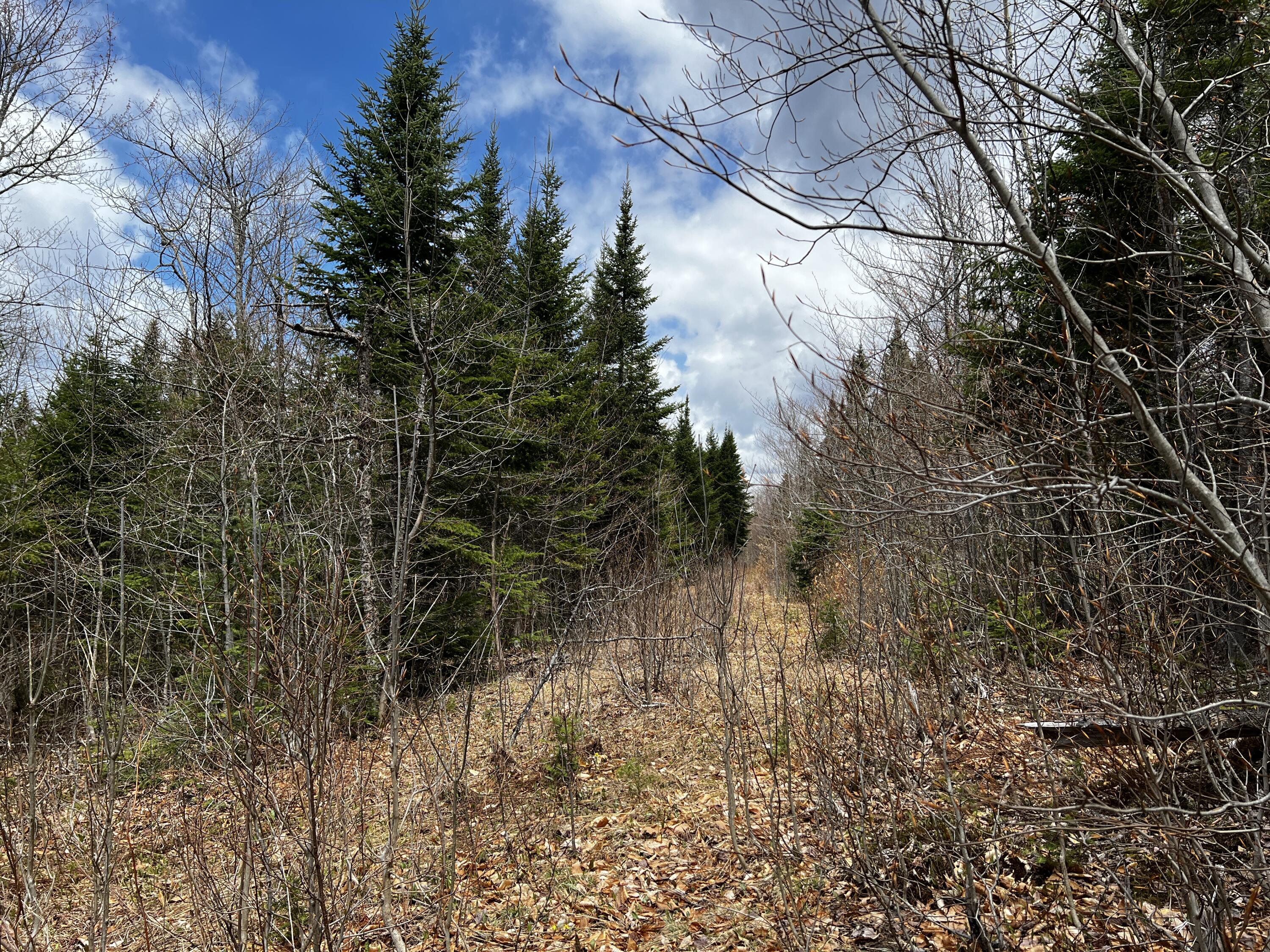 Lot 2-18 Shin Pond Road Property Photo 20