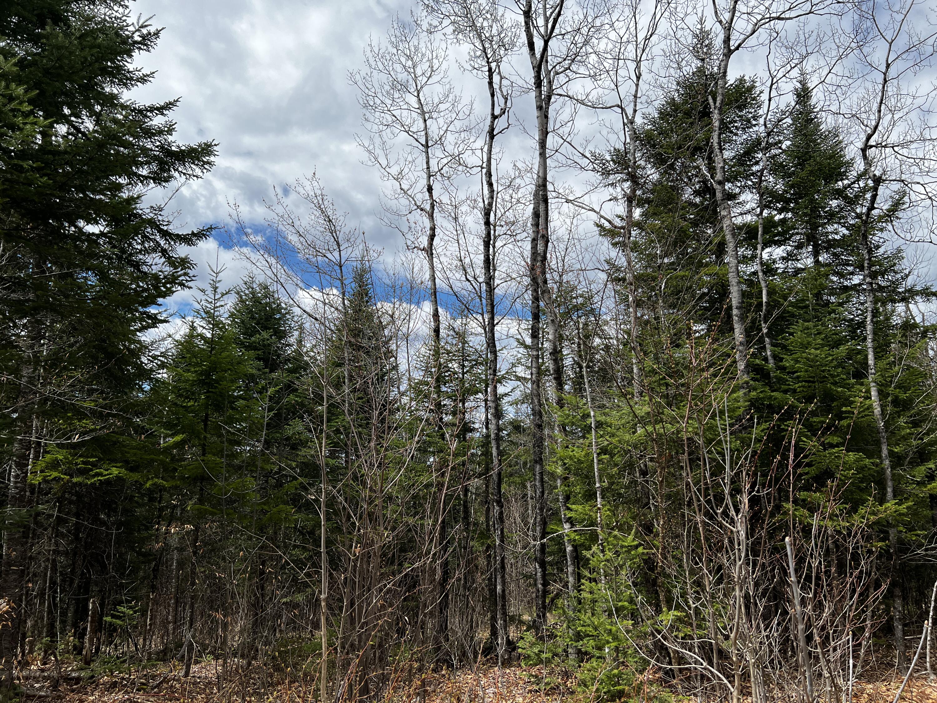 Lot 2-18 Shin Pond Road Property Photo 21