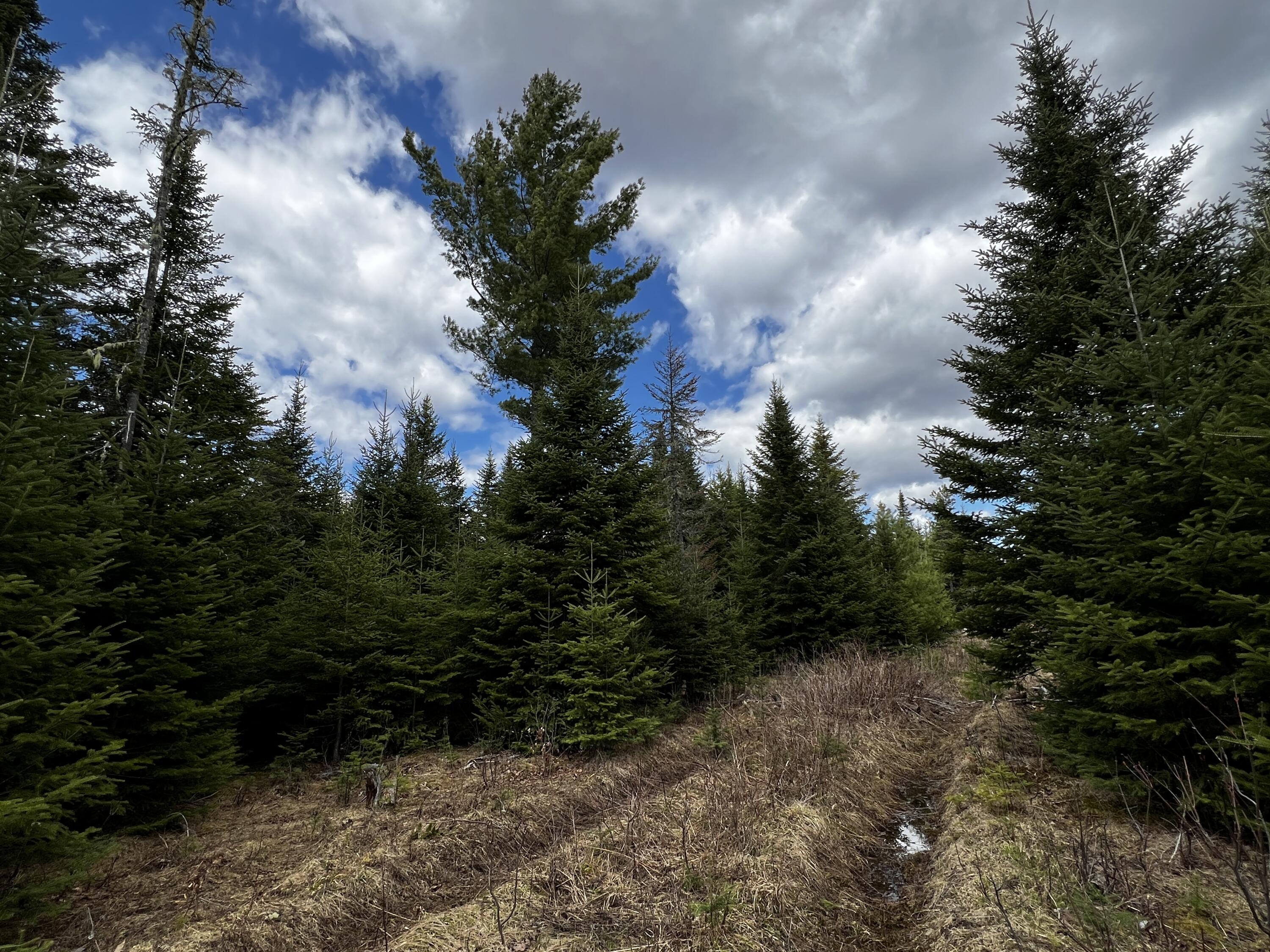 Lot 2-18 Shin Pond Road Property Photo 22