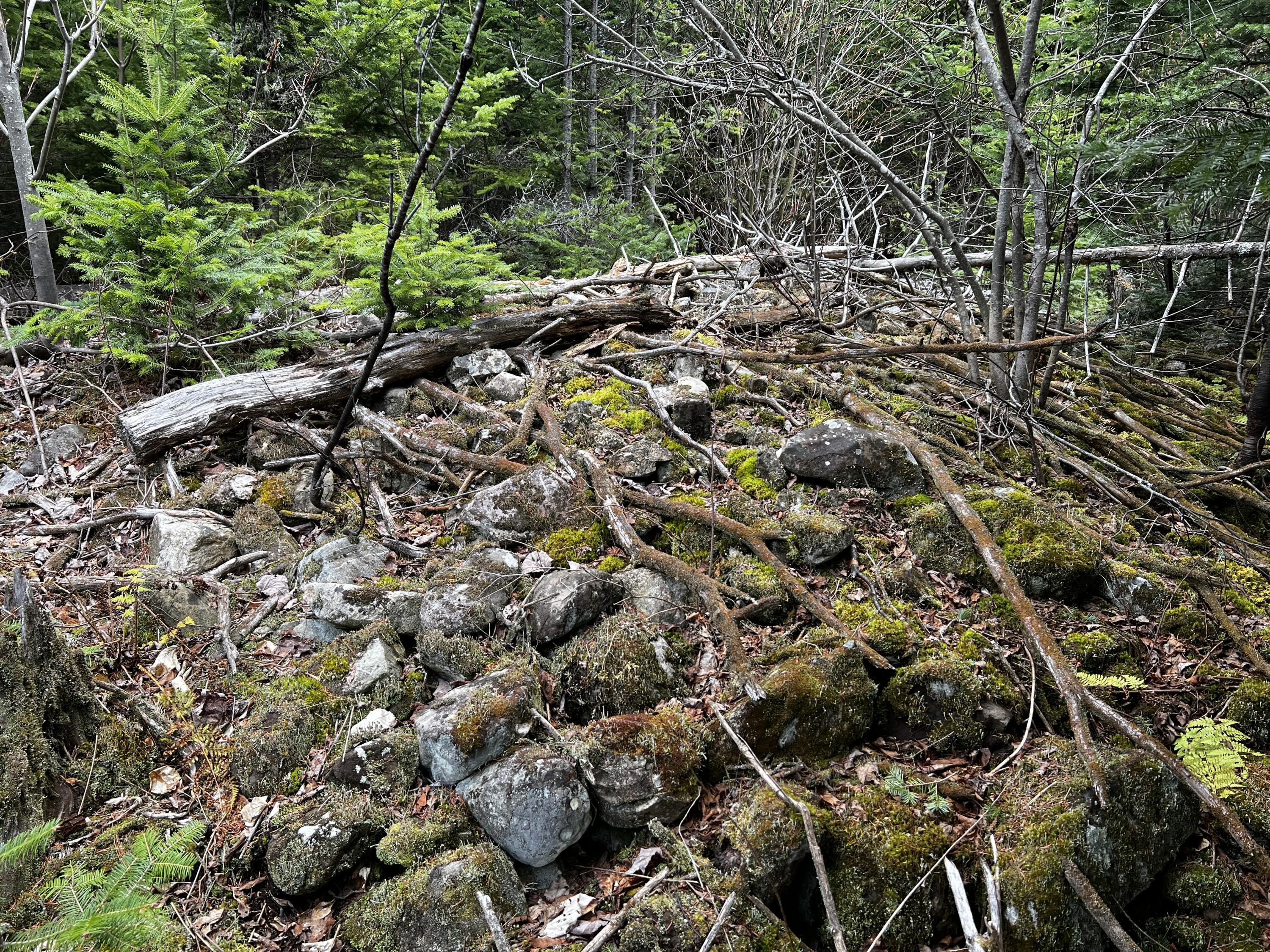 Lot 2-18 Shin Pond Road Property Photo 23