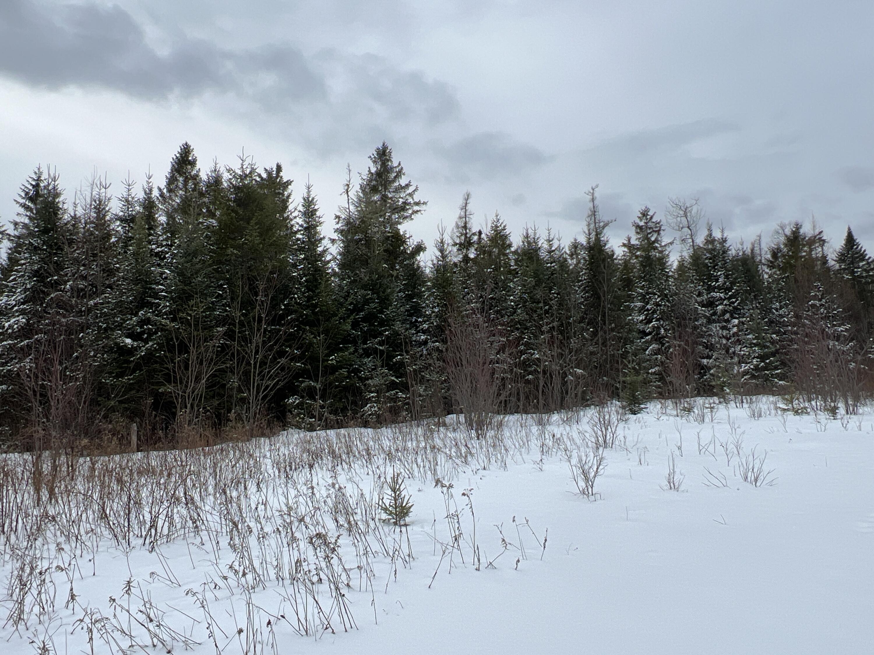 Lot 2-18 Shin Pond Road Property Photo 29