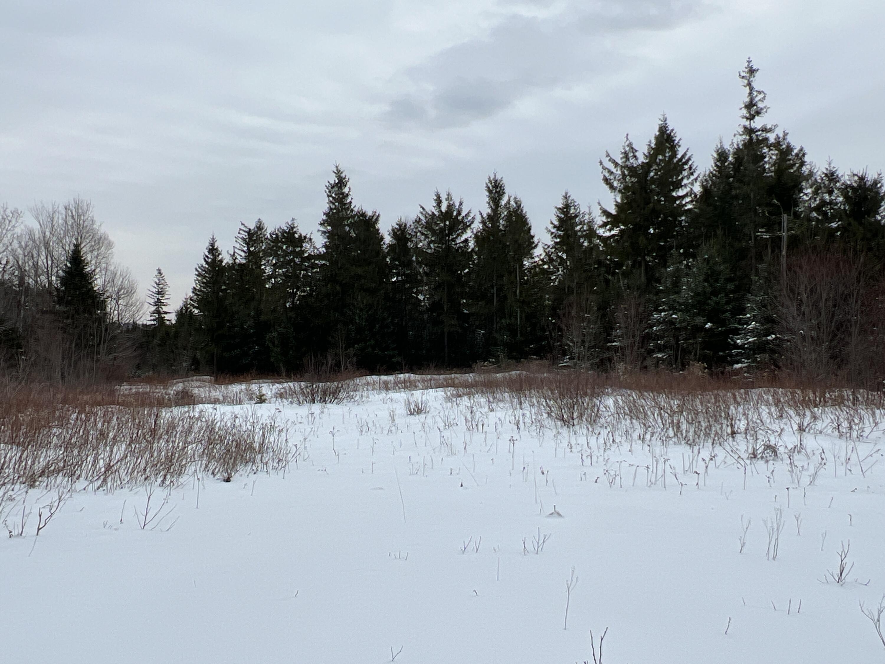 Lot 2-18 Shin Pond Road Property Photo 30