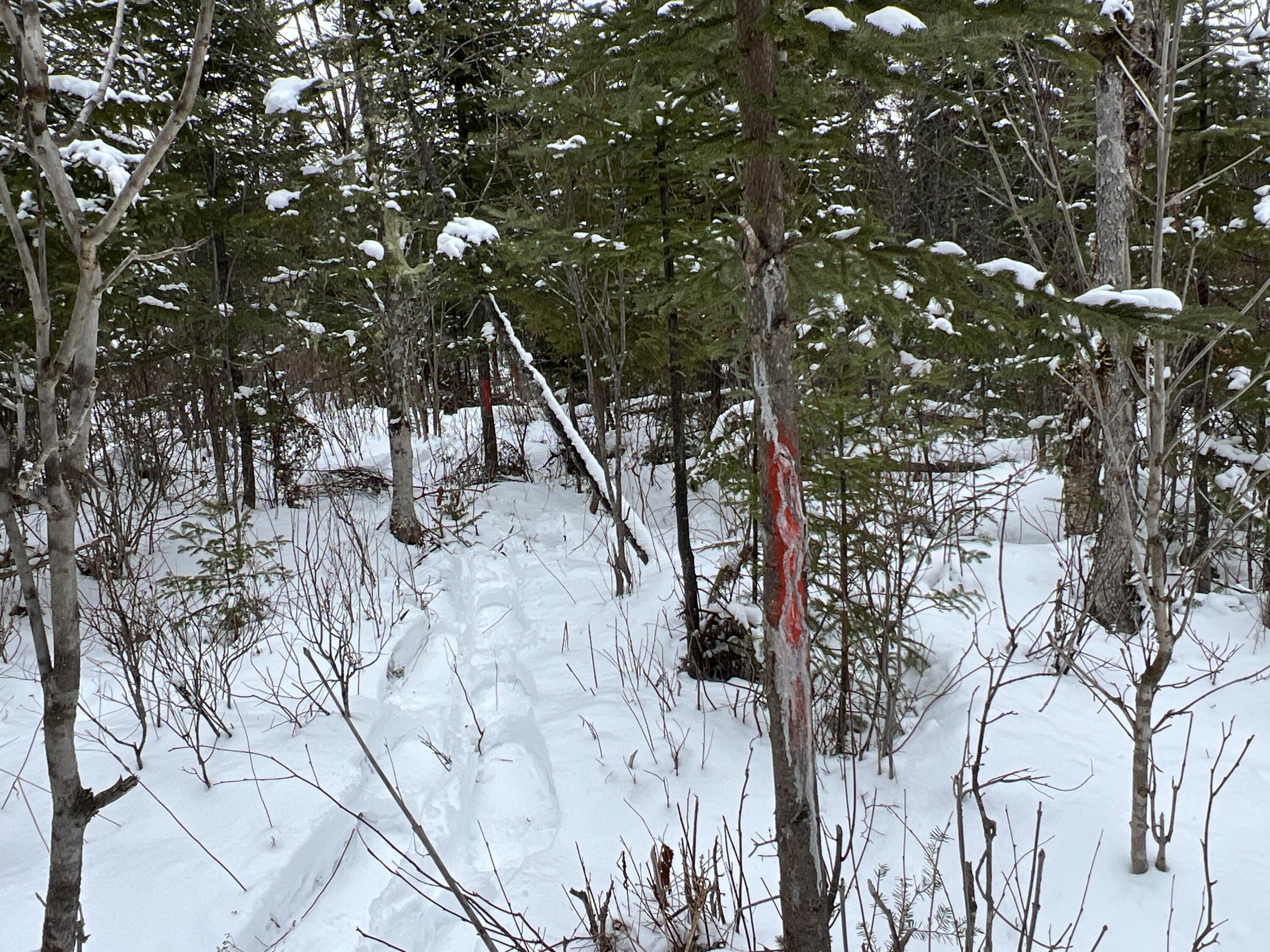 Lot 2-18 Shin Pond Road Property Photo 33