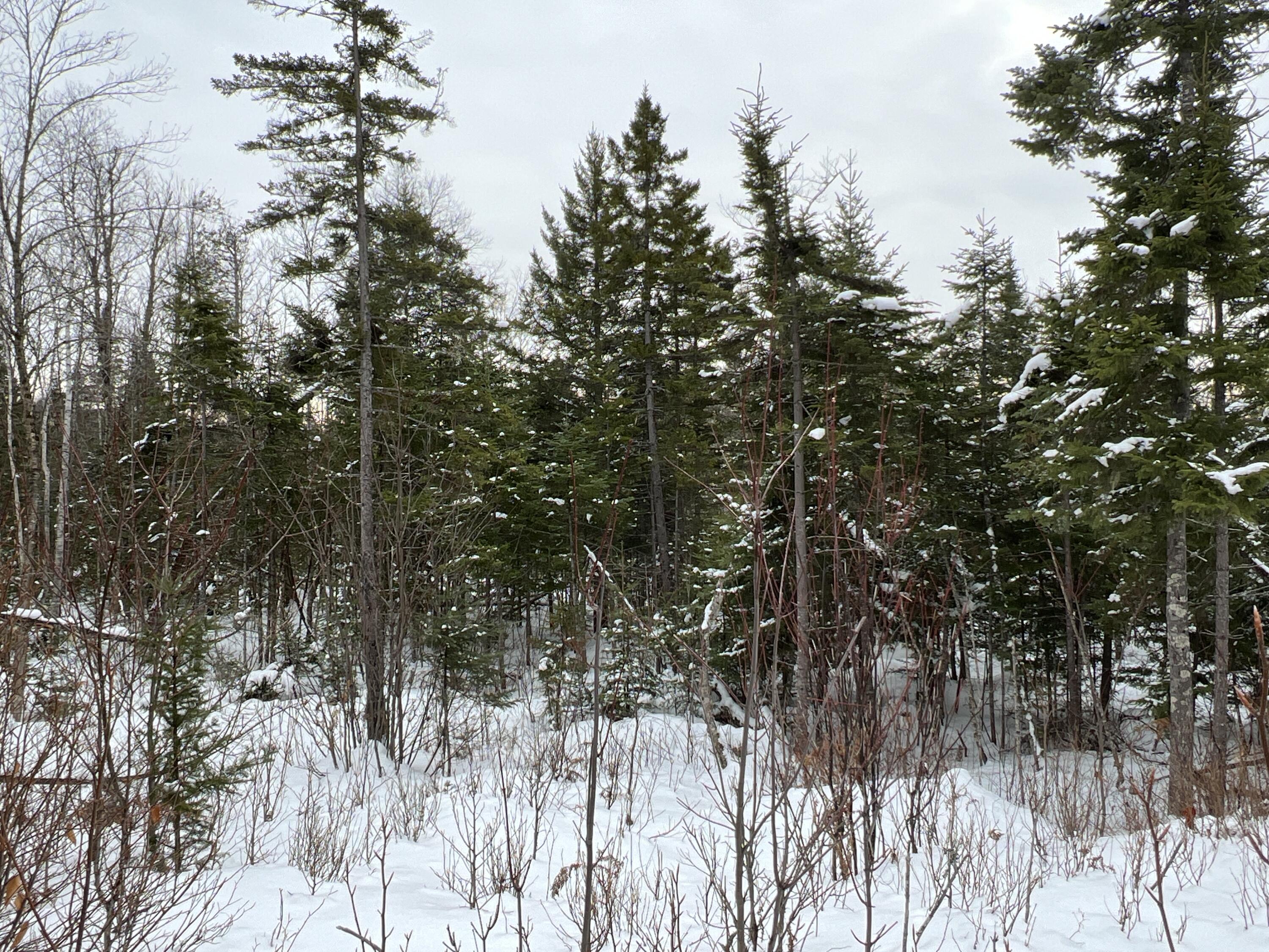 Lot 2-18 Shin Pond Road Property Photo 35