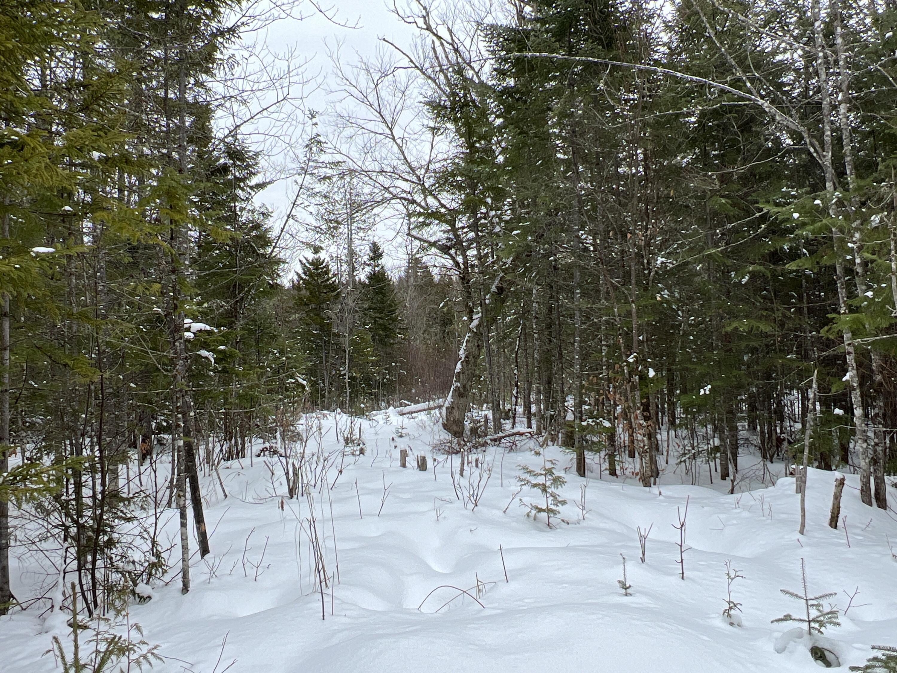 Lot 2-18 Shin Pond Road Property Photo 36