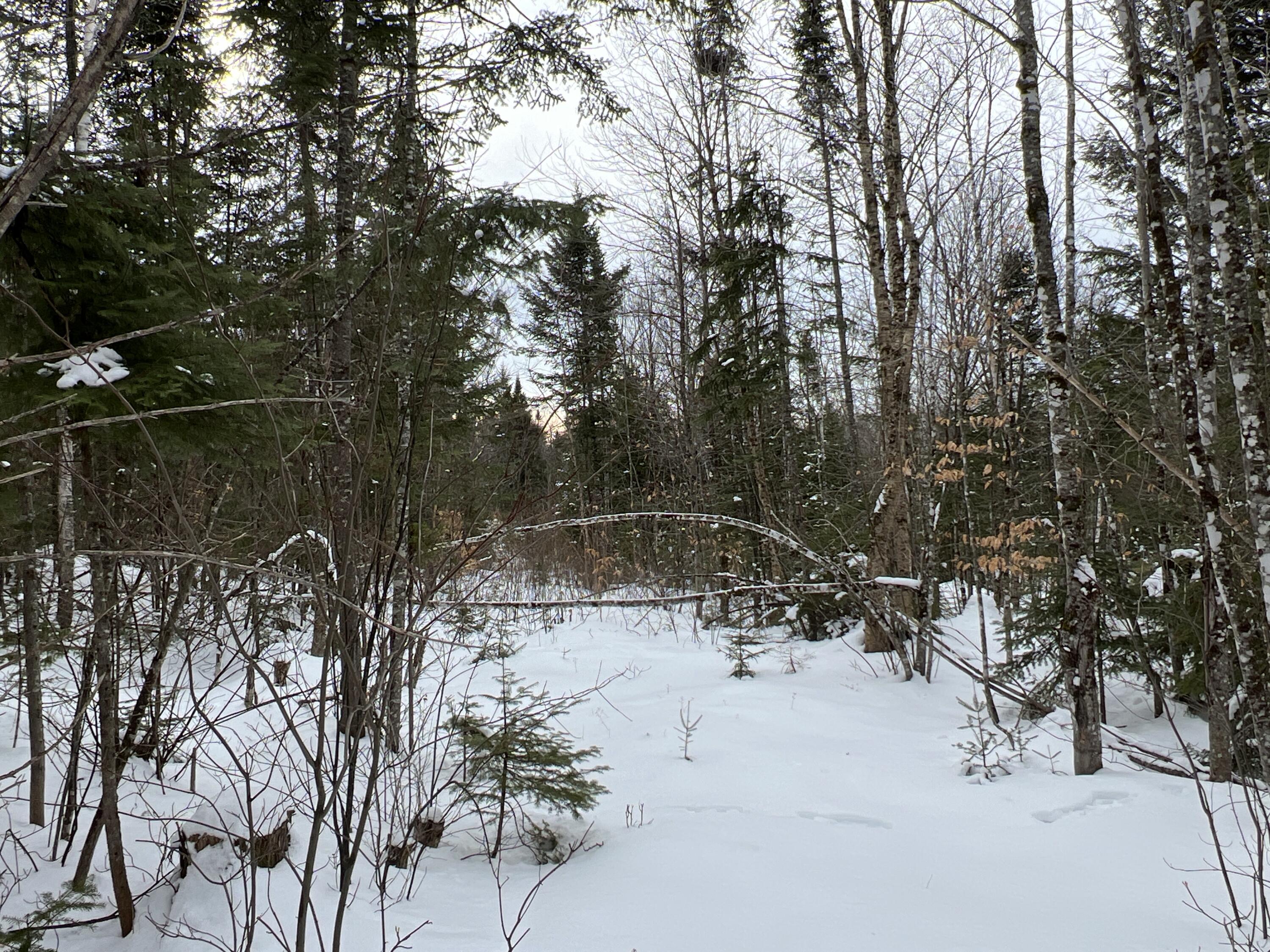 Lot 2-18 Shin Pond Road Property Photo 37