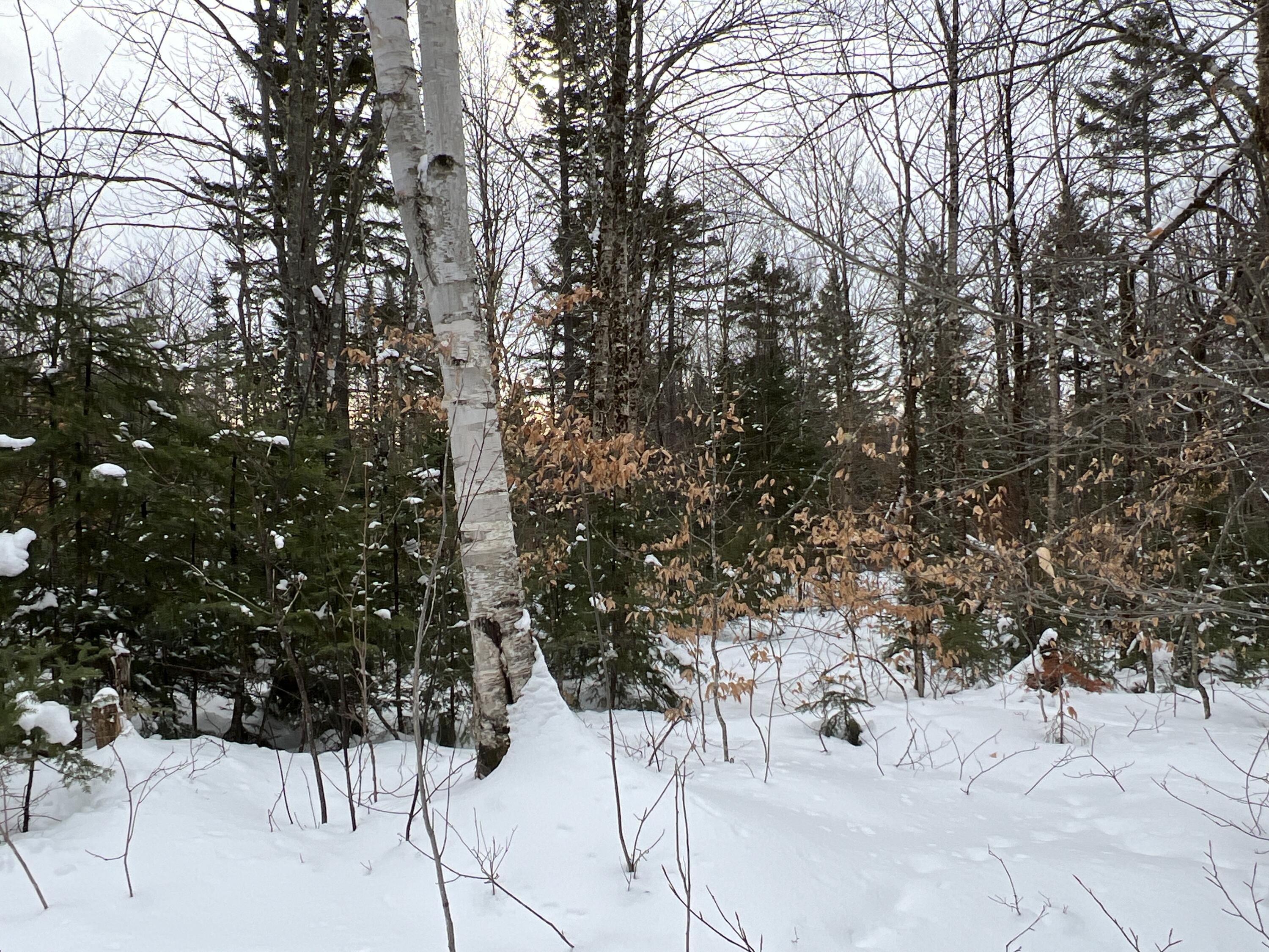 Lot 2-18 Shin Pond Road Property Photo 38