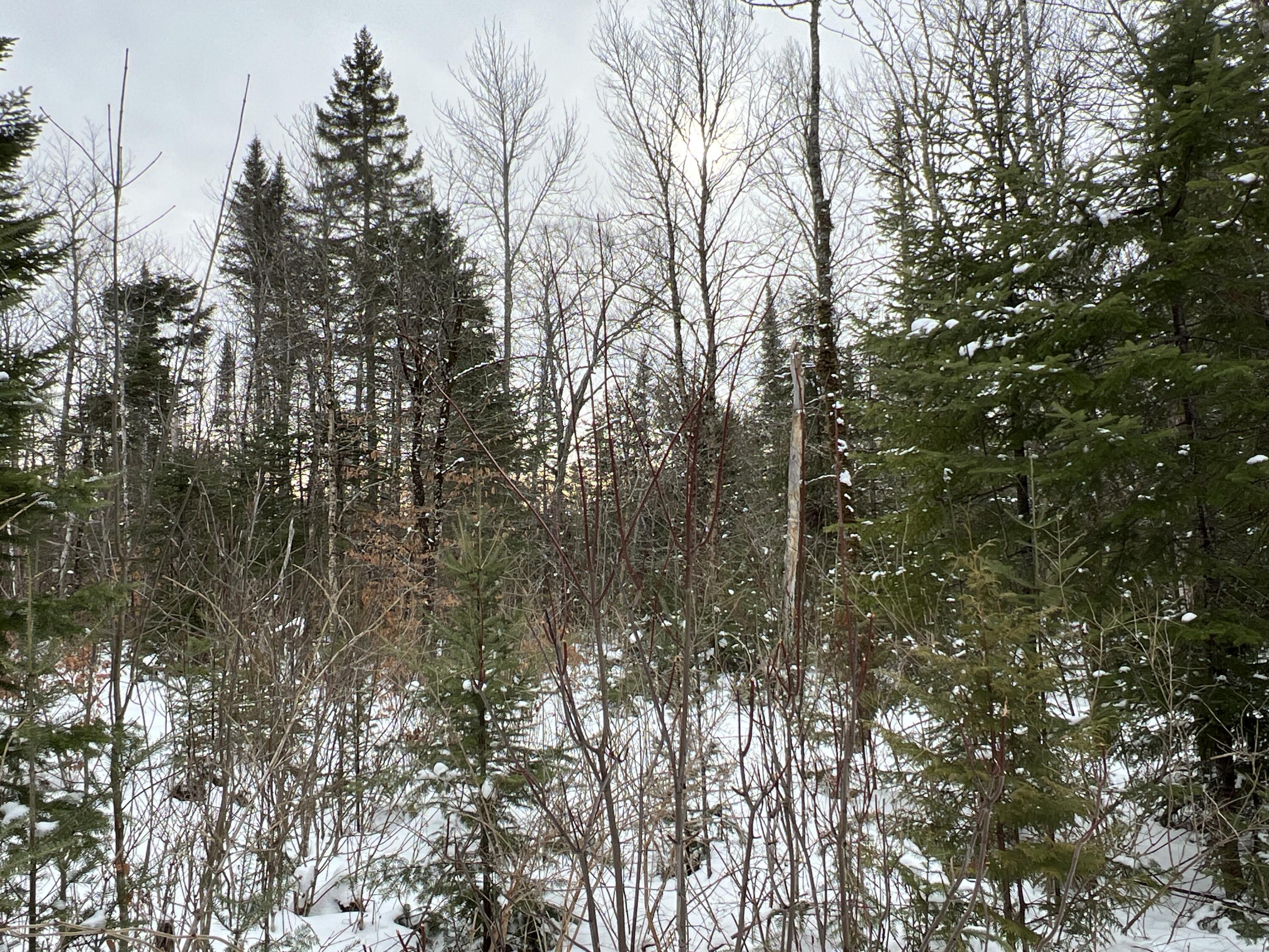 Lot 2-18 Shin Pond Road Property Photo 39