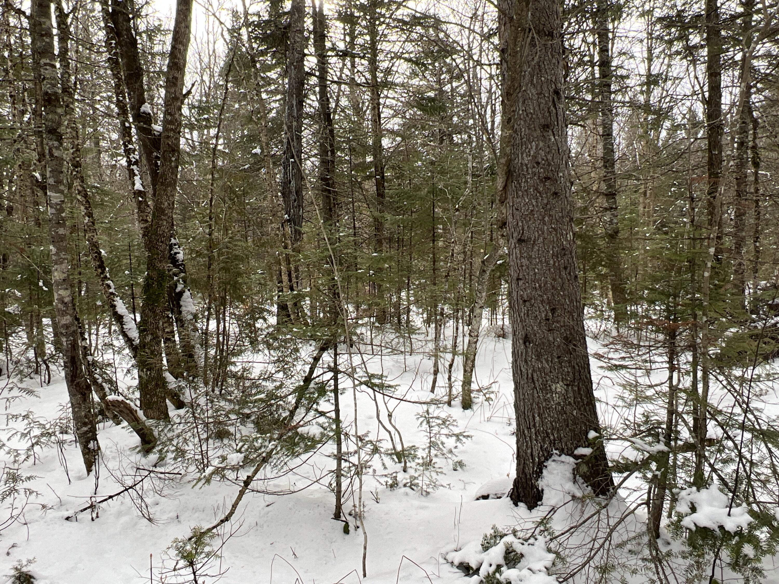 Lot 2-18 Shin Pond Road Property Photo 40