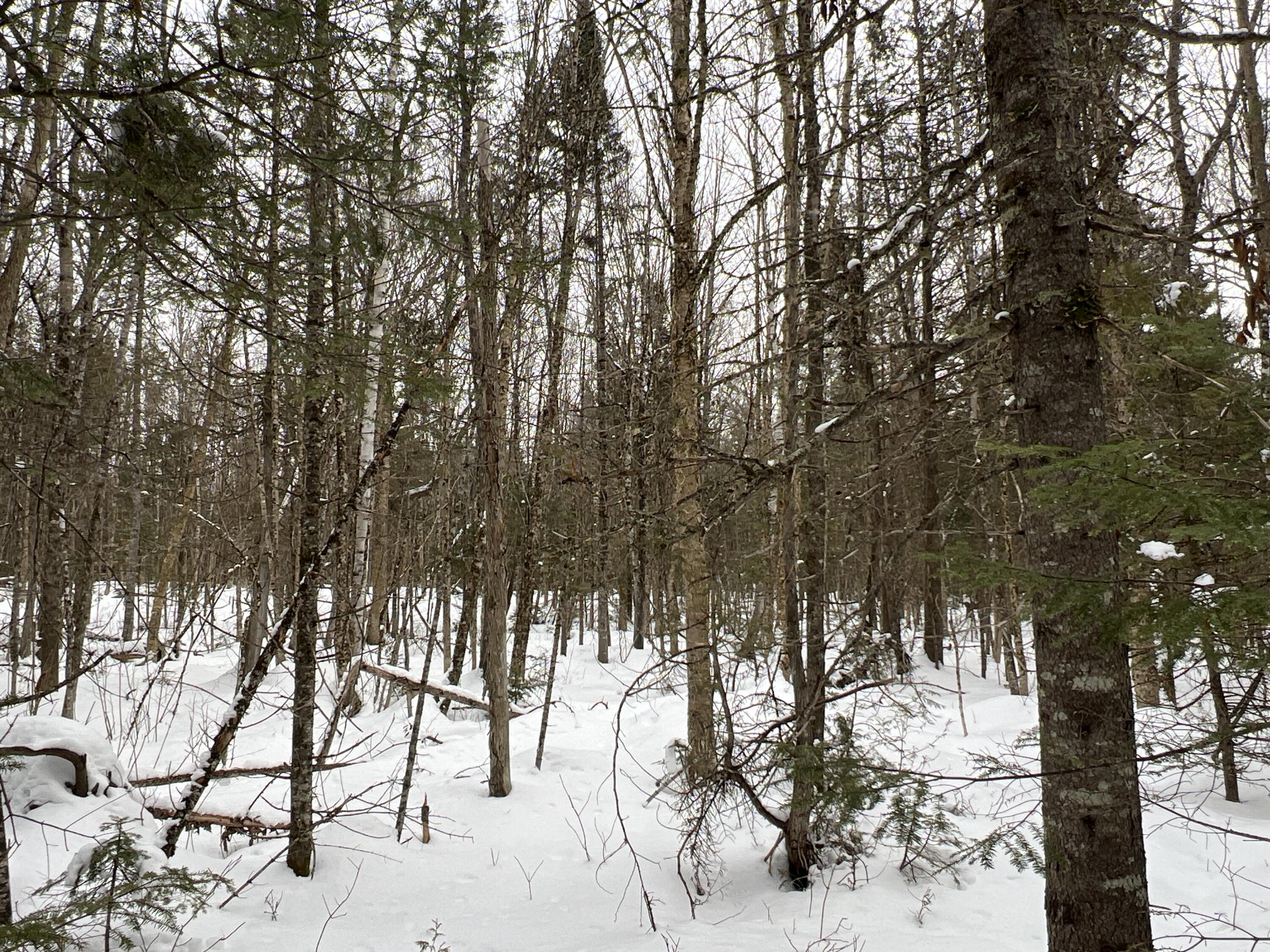 Lot 2-18 Shin Pond Road Property Photo 41