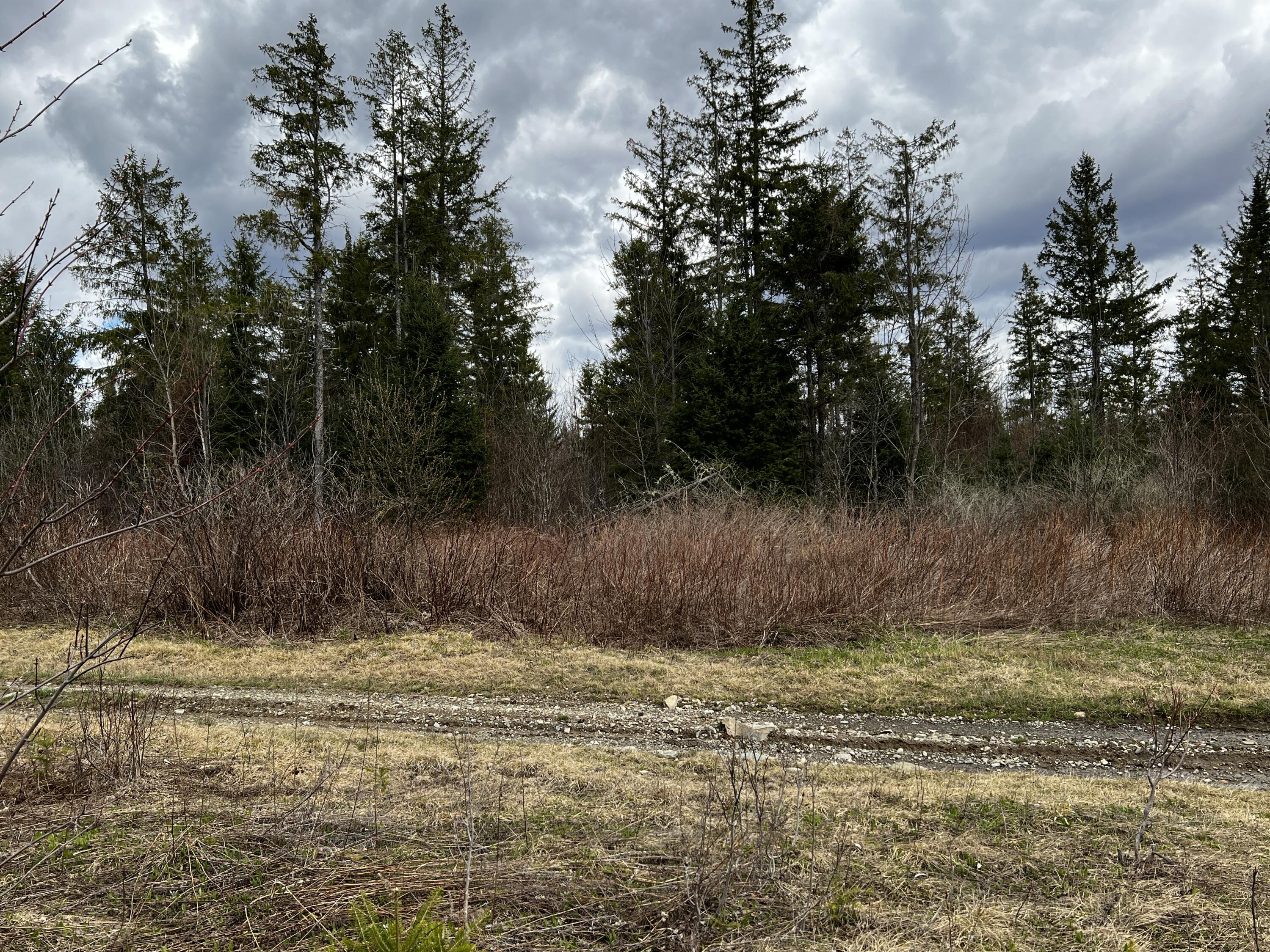 Lot 2-18 Shin Pond Road Property Photo 50