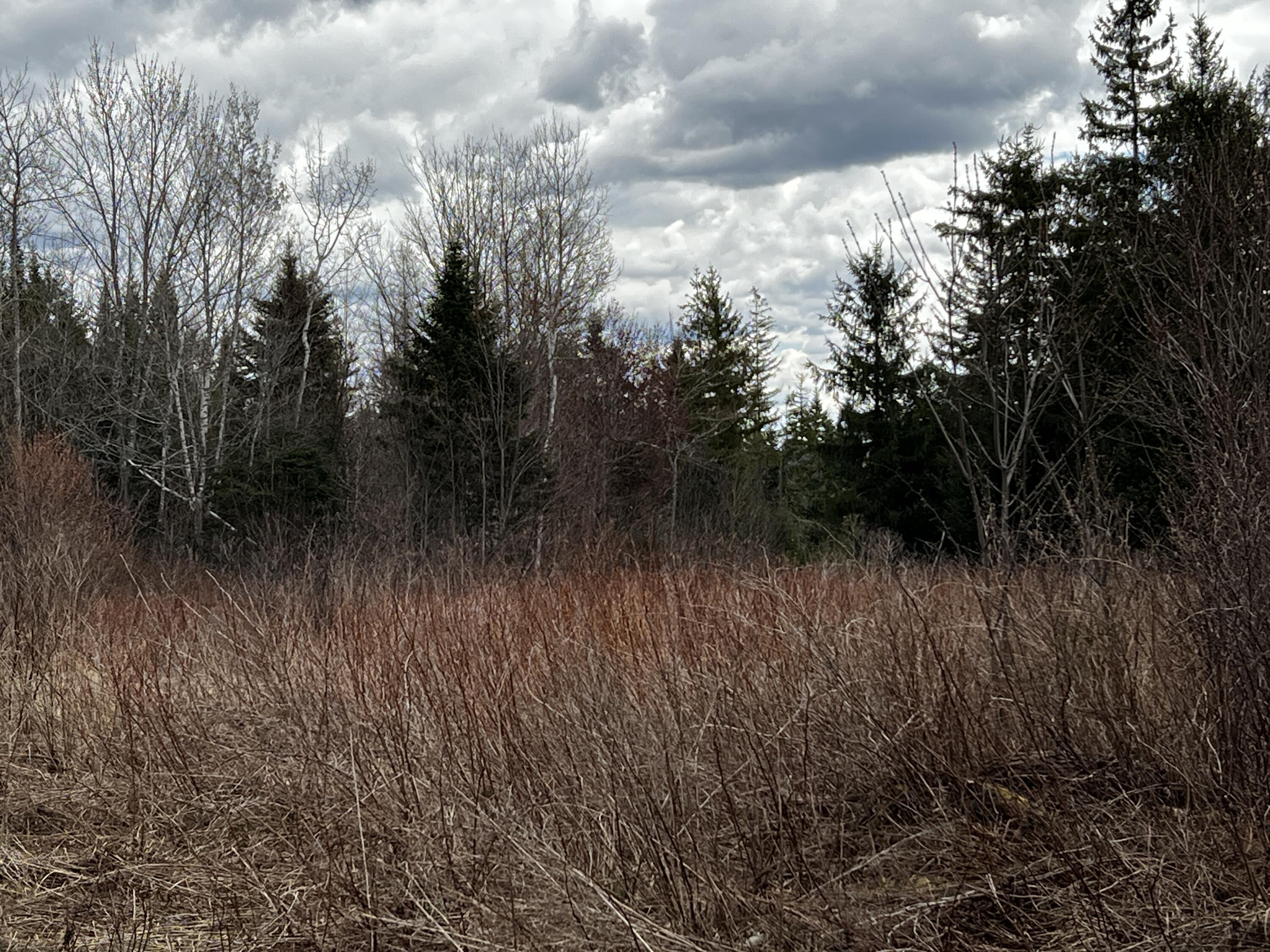 Lot 2-18 Shin Pond Road Property Photo 51
