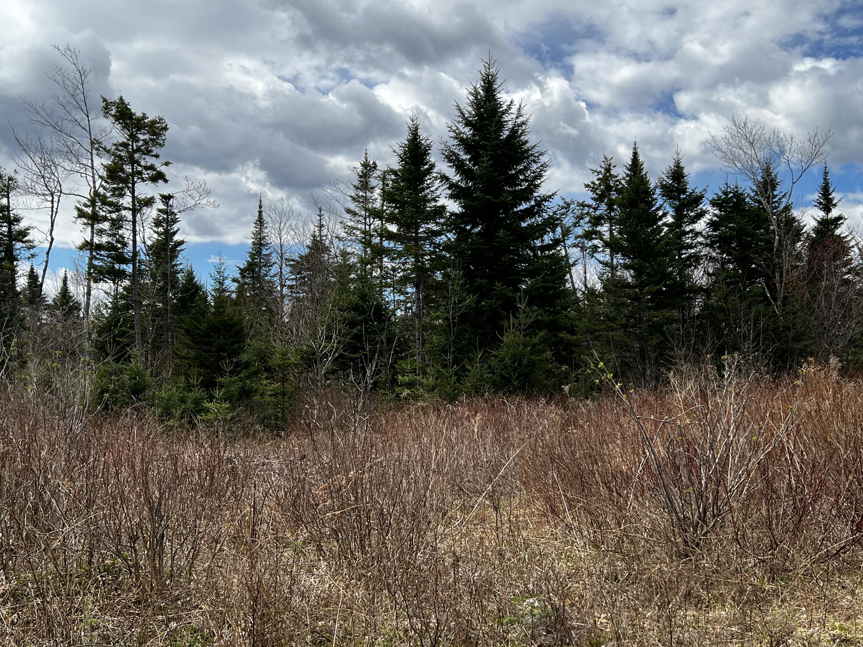 Lot 2-18 Shin Pond Road Property Photo 53