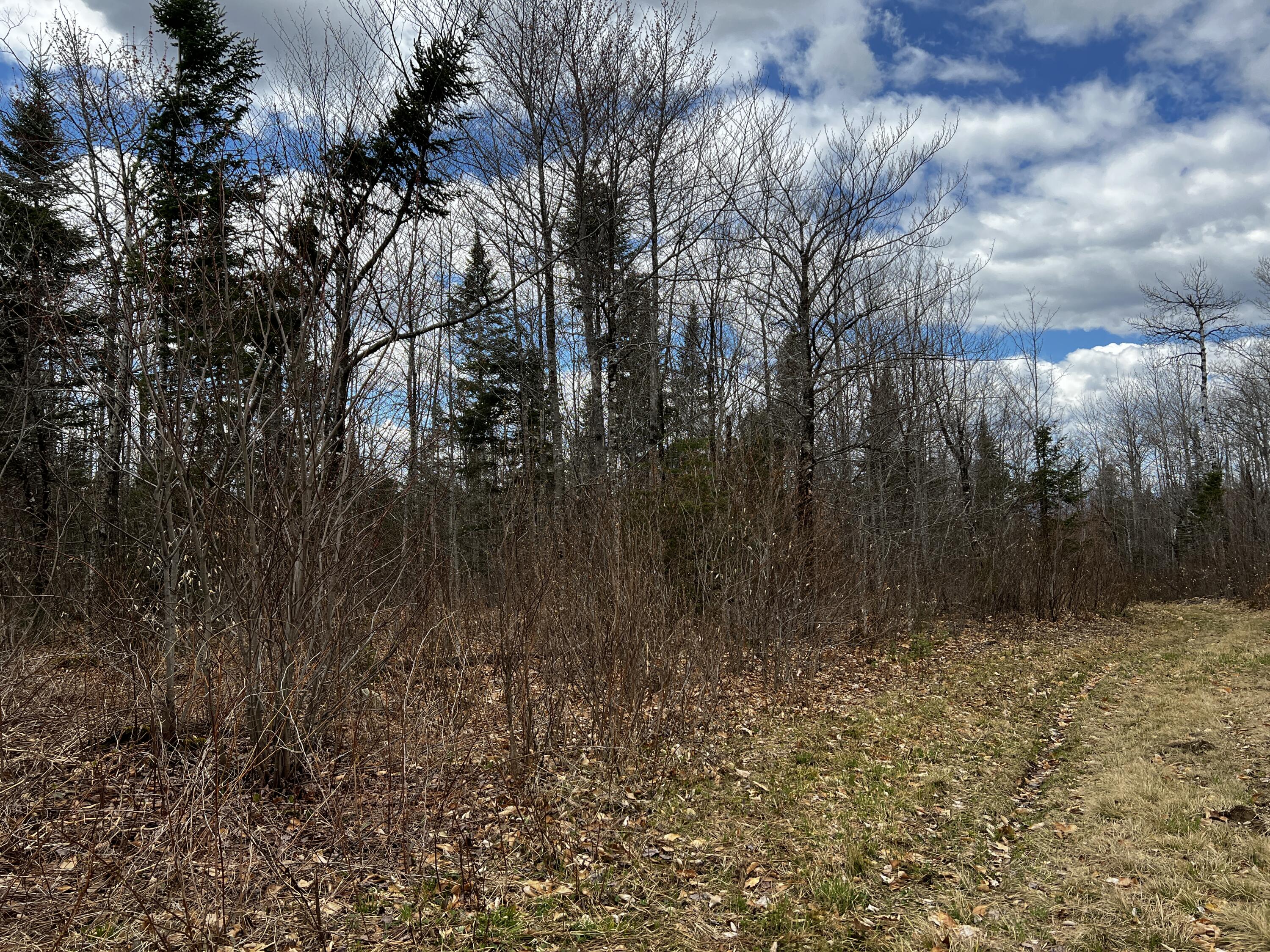 Lot 2-18 Shin Pond Road Property Photo 55