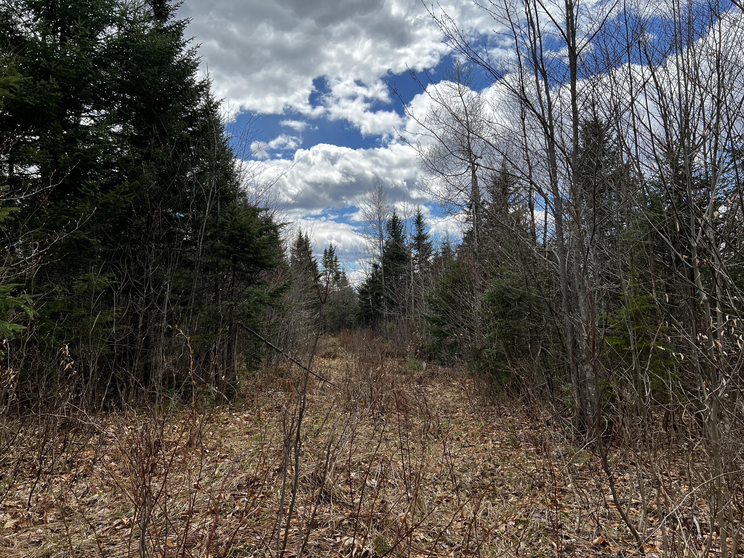 Lot 2-18 Shin Pond Road Property Photo 56