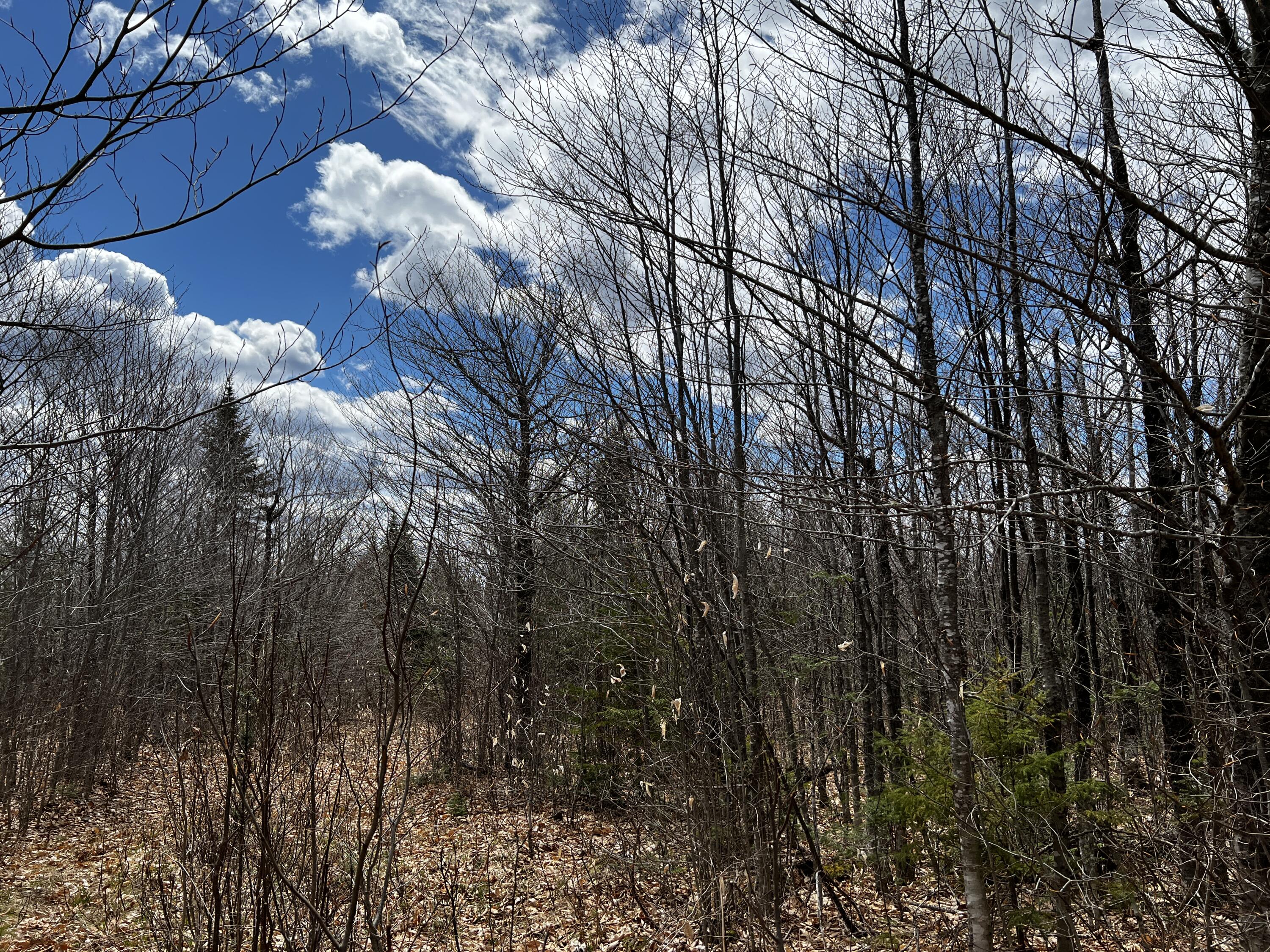 Lot 2-18 Shin Pond Road Property Photo 57
