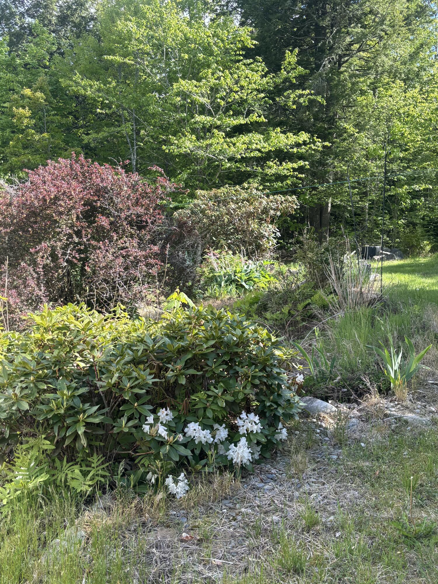 1035 Airline Road Property Photo 31