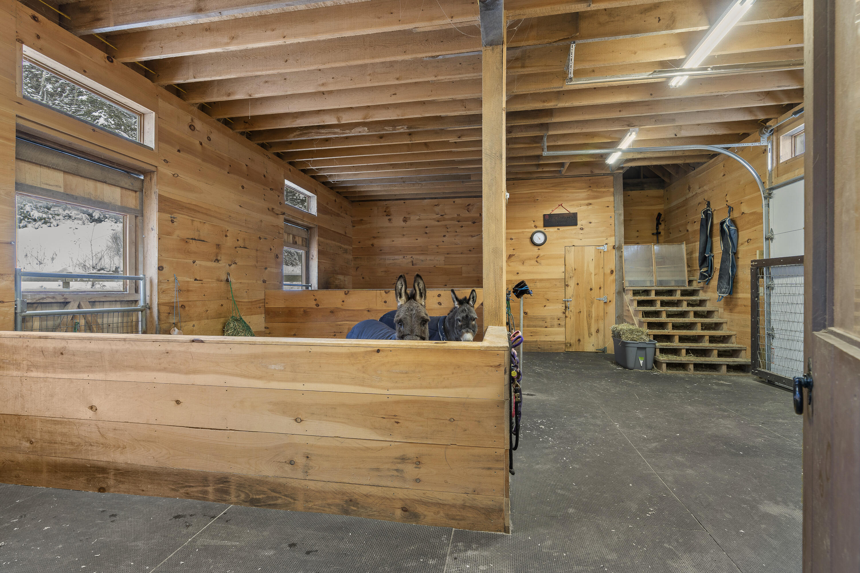 58 Hendricks Hill Road Property Photo 45
