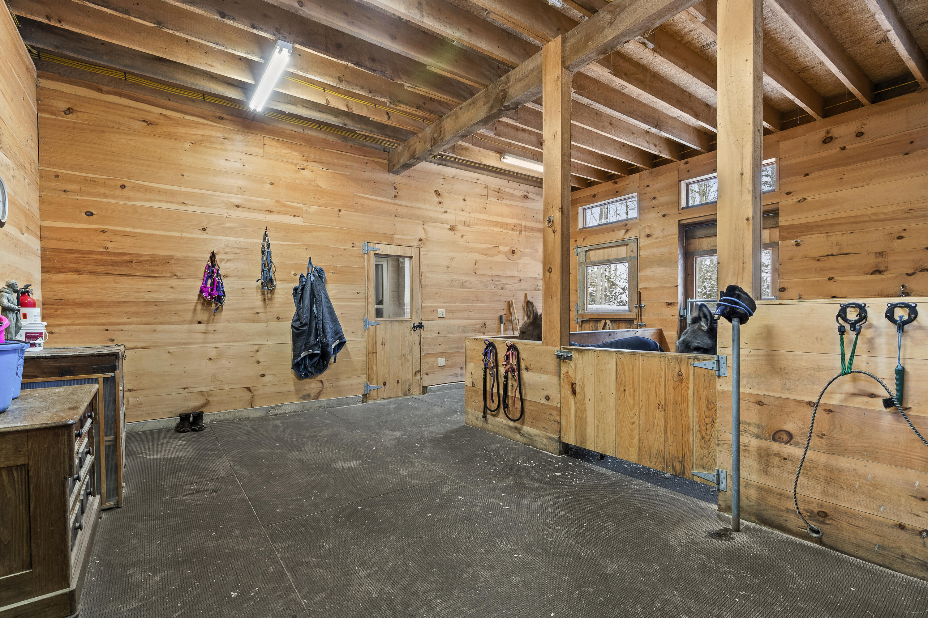 58 Hendricks Hill Road Property Photo 46