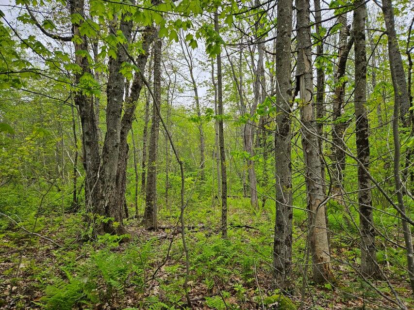 681 Mile Hill Road Property Photo 1