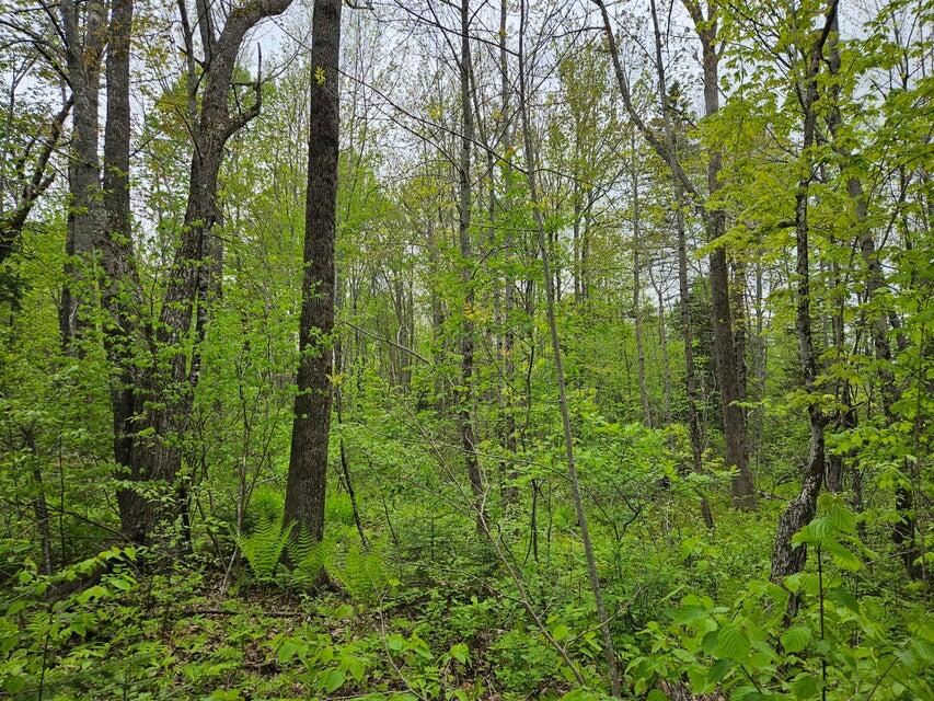 681 Mile Hill Road Property Photo 2