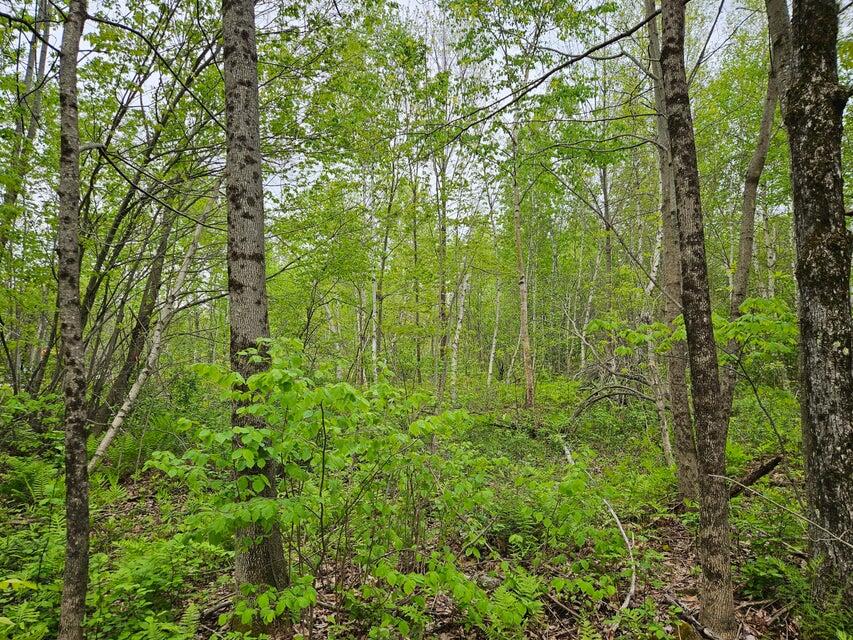 681 Mile Hill Road Property Photo 3