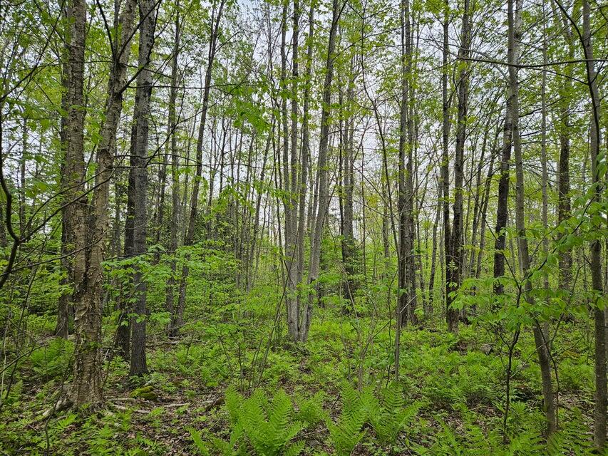 681 Mile Hill Road Property Photo 4