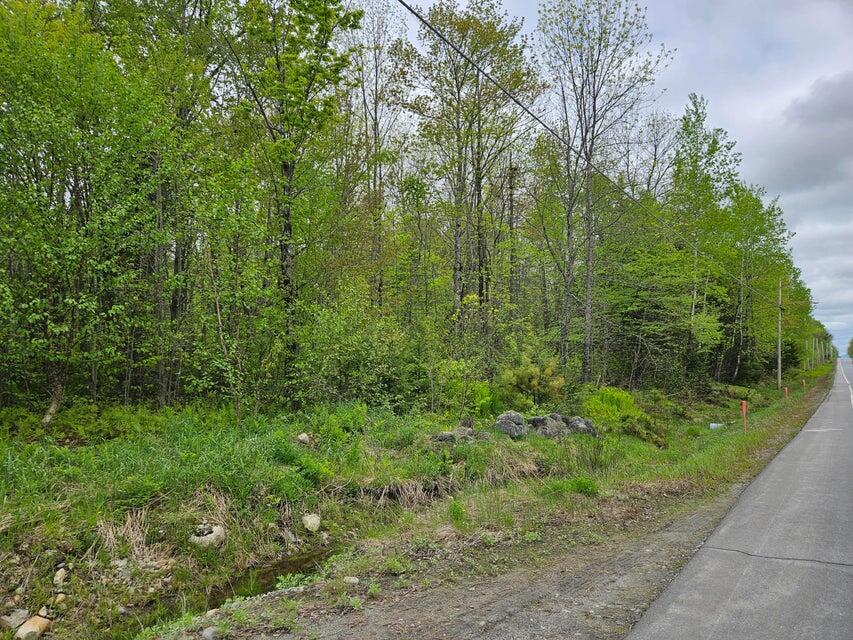 681 Mile Hill Road Property Photo 6